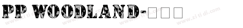 PP Woodland字体转换